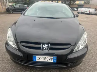 Peugeot 307 Benzina 572060816 Stampa 2