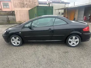 Peugeot 307 Benzina 572060816 Stampa 10