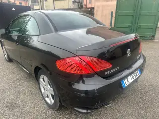 Peugeot 307 Benzina 572060816 Stampa 9