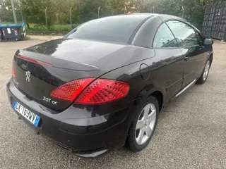 Peugeot 307 Benzina 572060816 Stampa 7