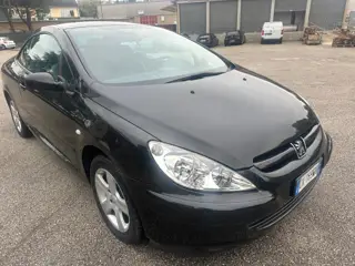 Peugeot 307 Benzina 572060816 Stampa 3