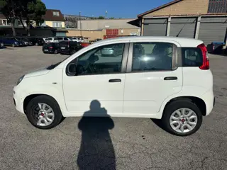 Fiat Panda 2ª Serie Diesel 572060862 Stampa 3