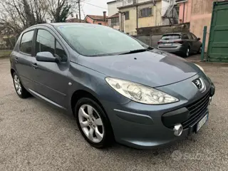 Peugeot 307 1.6 16v 5p. xt 582797022 Usato Stampa 14