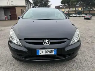 Peugeot 307 1.6 16v cc 582448804 Usato Stampa 12