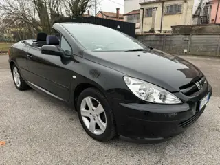 Peugeot 307 1.6 16v cc 582448804 Usato Stampa 8