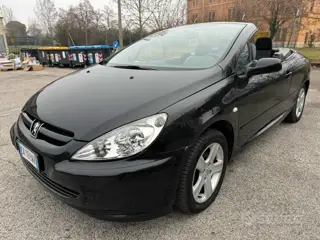 Peugeot 307 1.6 16v cc 582448804 Usato Stampa 21