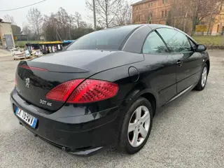 Peugeot 307 1.6 16v cc 582448804 Usato Stampa 3