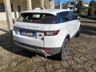 Land rover Rr evoque 1ª serie Range rover evoque 2.0 td4 150 cv 5p. pure 588726831 Usato Stampa 13